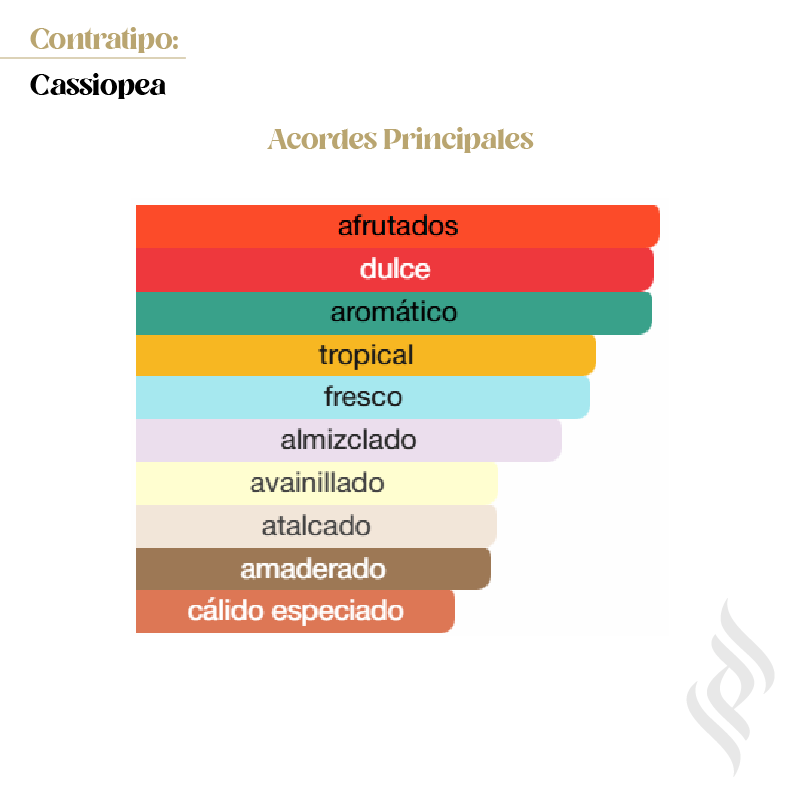 Contratipo (Cassiopea)