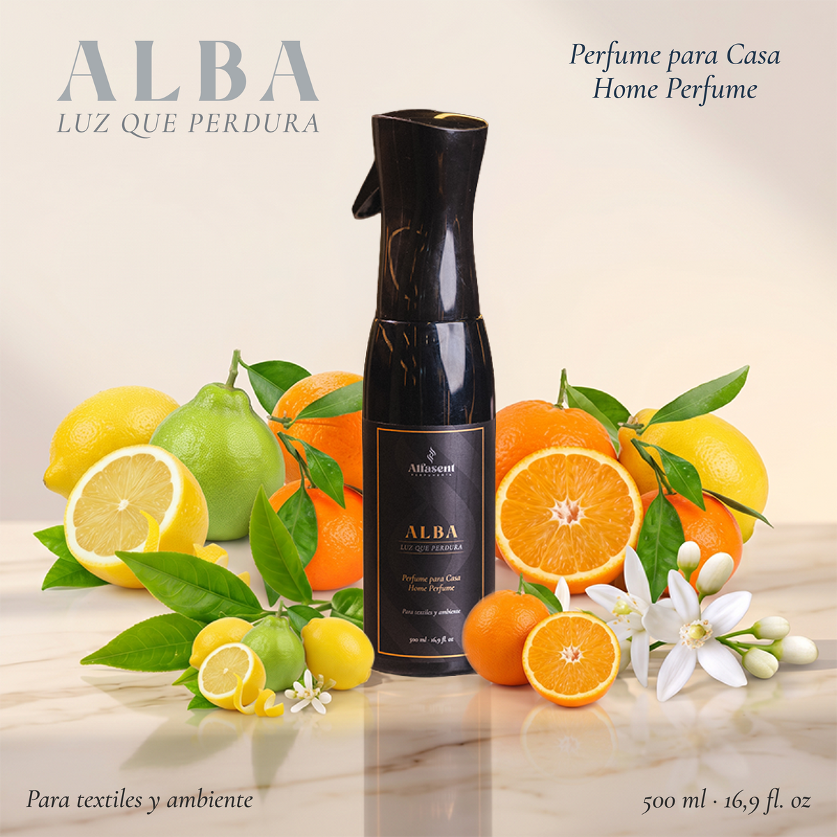 files/ALBA_PER_HOG_PAG_WEB_3x_891890b9-8af4-423c-bddb-dc05ad980999.png