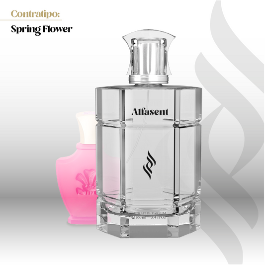 Contratipo (Spring Flower)